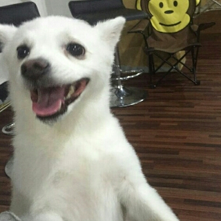 프로필 이미지