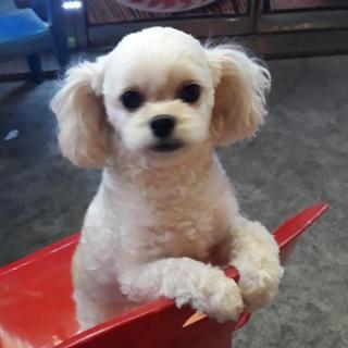프로필 이미지